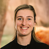 Y. Haagsma